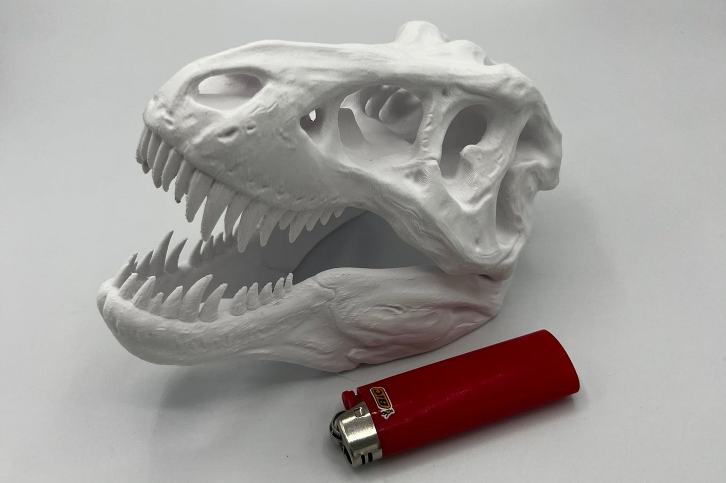 T-Rex Schädel 3d Druck