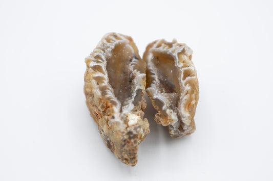 Geoden Paar