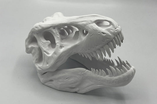 T-Rex Schädel 3d Druck
